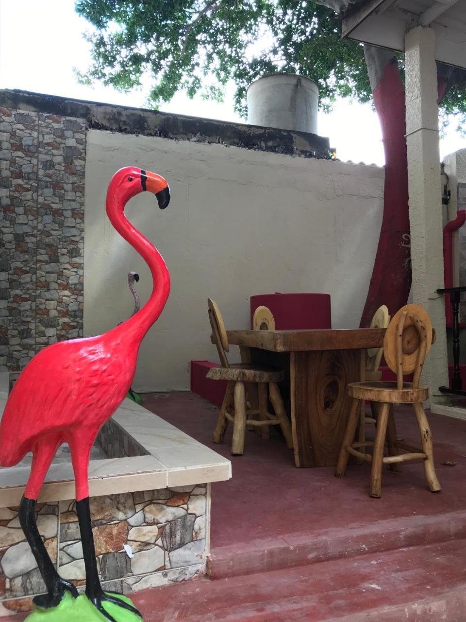 Mi Casa Hostel Riohacha Bagian luar foto